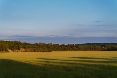 Scenic view of field against sky