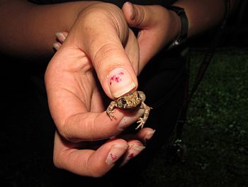 Close-up of man holding hands