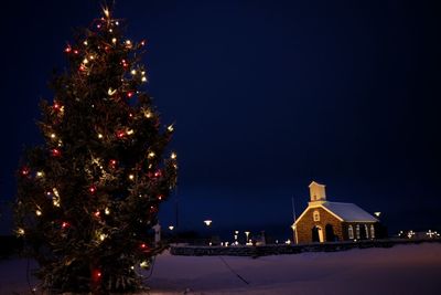 Illuminated christmas tree at night