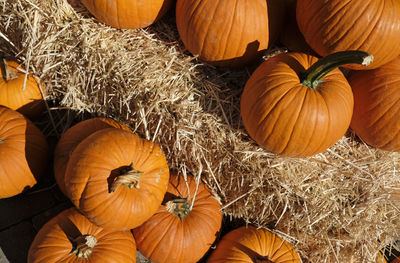 High angle view of pumpkins on hay bales