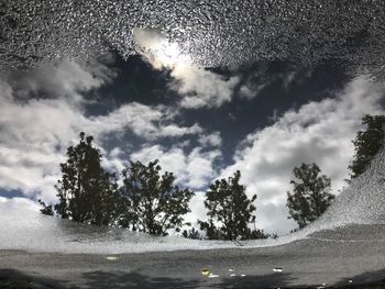 Road by trees against sky