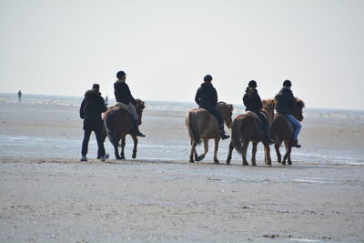 People riding ponies