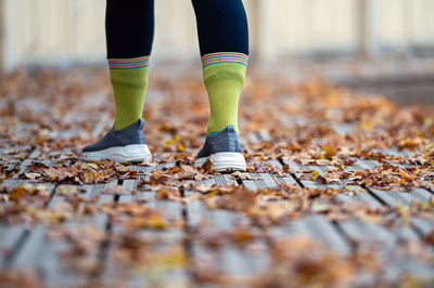 Closeup of a female legs on wooden walking trails covered with autumn leaves, rear viev