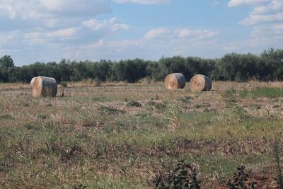 Hay bales on field against sky