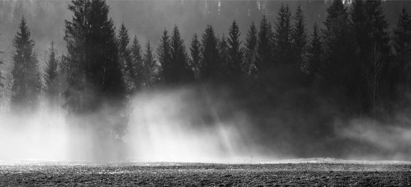 Panoramic view of waterfall in forest