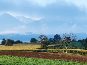 Scenic view of field against sky