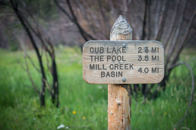 Close-up of signboard against trees