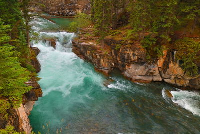 Scenic view of waterfall in forest