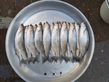 High angle view of food in plate