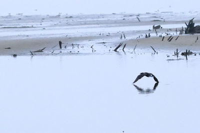 People on snow covered land against sky