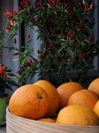 Close-up of orange fruit