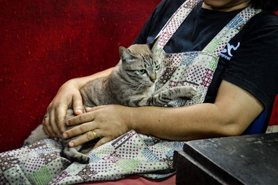 Midsection of woman holding a cute tabby cat