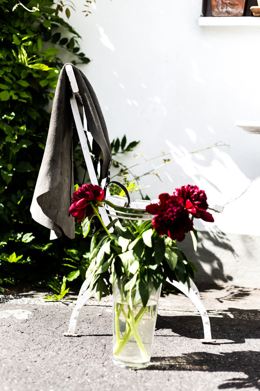 CLOSE-UP OF FLOWER VASE AGAINST PLANT