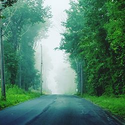 Empty road amidst trees in forest