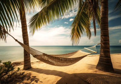 Palm trees on beach against sky