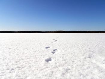 Scenic view of field against clear blue sky