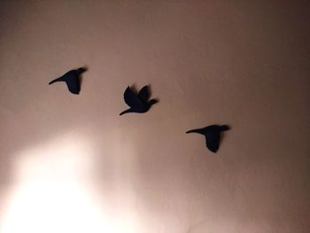 Low angle view of silhouette birds flying in the sky