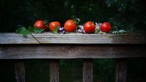 Close-up of tomatoes on wood