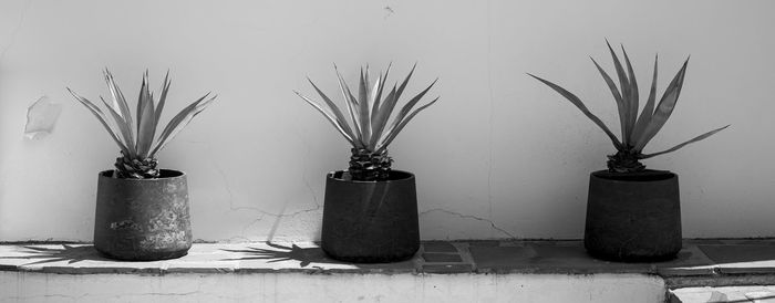 black and white