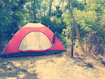 Tent in forest