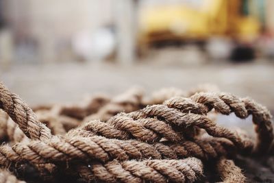 Close-up of rope tied to moored at harbor