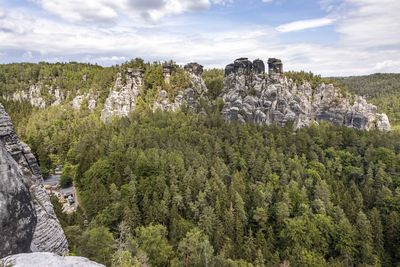 Scenic view of forest against sky