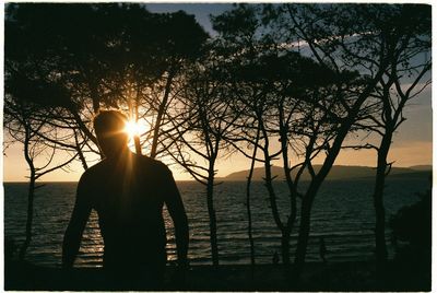 Silhouette man standing by tree against sky during sunset