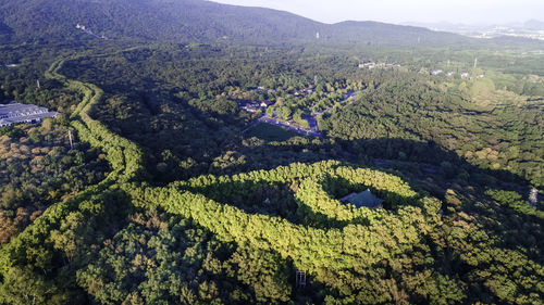 High angle view of agricultural field