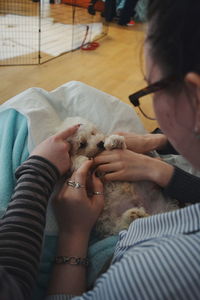 Cropped woman holding dog