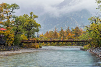 Scenic view of river amidst trees against sky