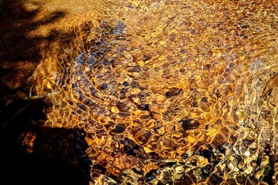 Full frame shot of water