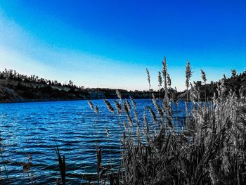 Scenic view of lake against clear blue sky during winter