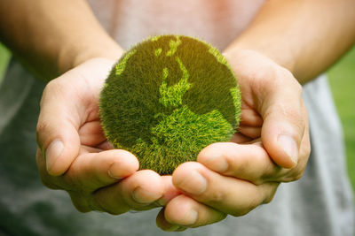 Close-up of hand holding plant