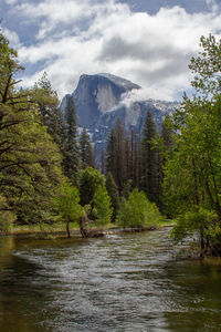 Scenic view of river in forest against sky