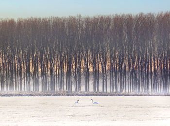 Panoramic view of landscape against sky during winter