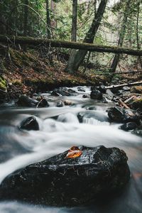 Scenic view of waterfall