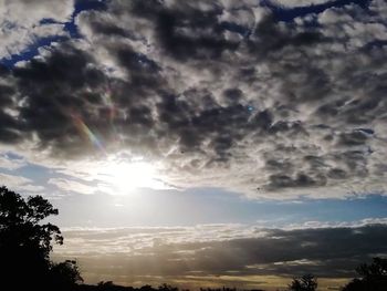 Low angle view of silhouette trees against sky