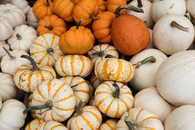 Full frame shot of pumpkins for sale at market