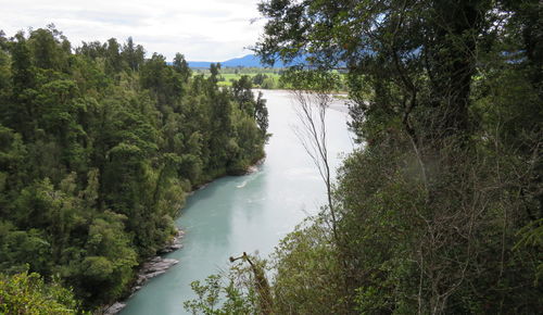 Scenic view of river amidst trees against sky