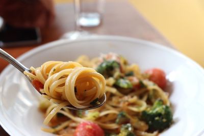 Close-up of food in plate