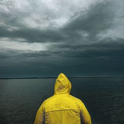 Rear view of man looking at sea against sky