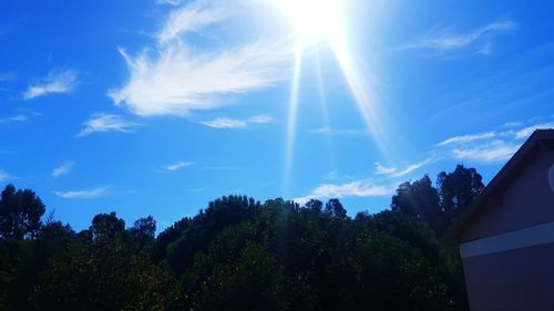 Low angle view of trees against blue sky