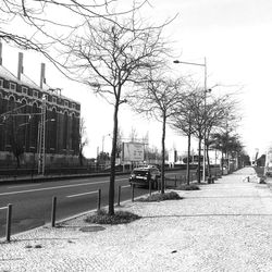 Cars on road along buildings