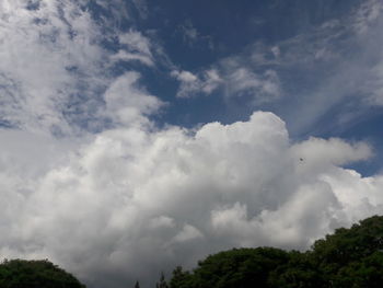 Low angle view of trees against sky