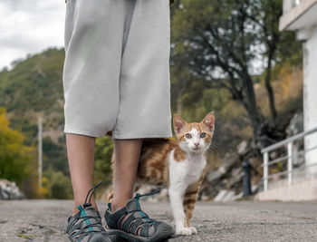 Ginger kitty is standing near kid's legs outdoor and looking at camera