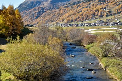 Scenic view of river amidst trees during autumn
