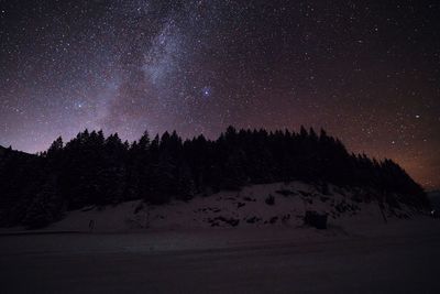 Silhouette trees against sky at night