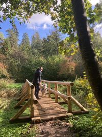 Side view of man climbing on tree in forest