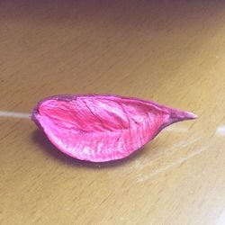 Close up of pink leaf