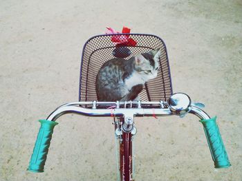 High angle view of a bicycle